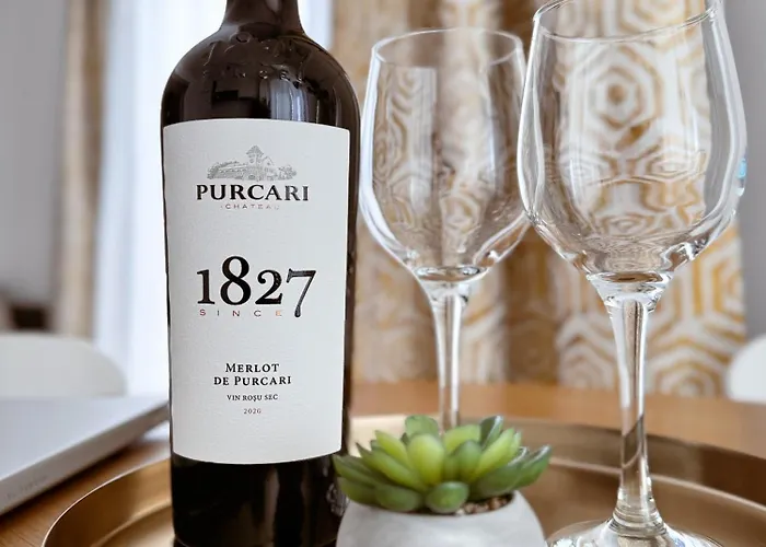 City Of Mara Central Apartamento